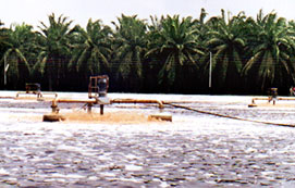 Aerator